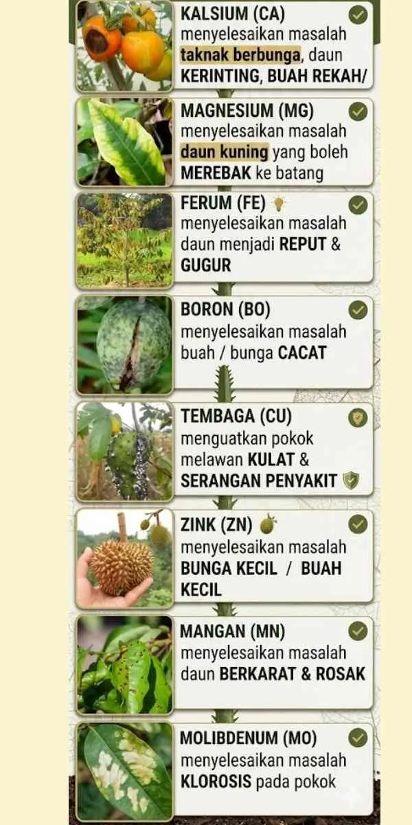 Zat Lengkap
