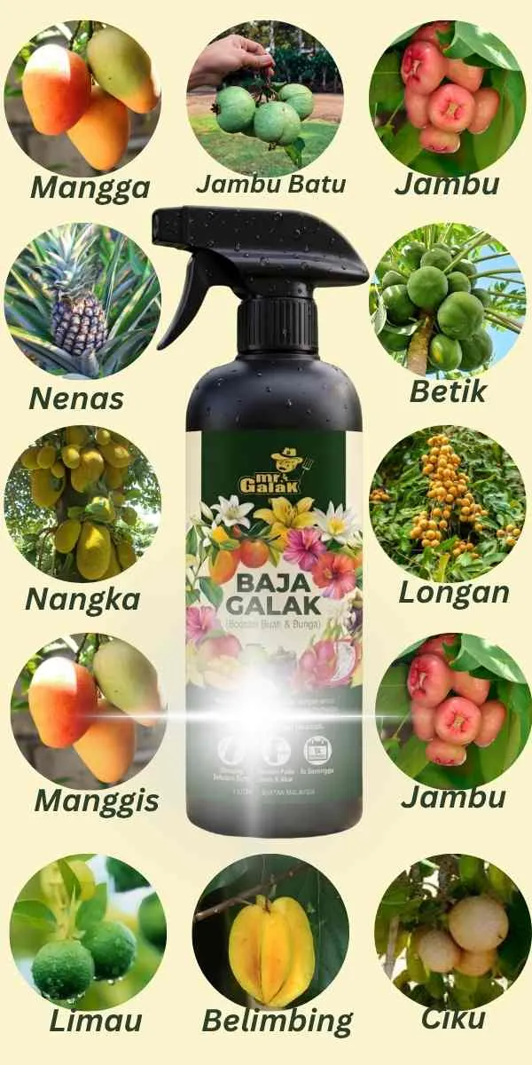 Pelbagai Pokok