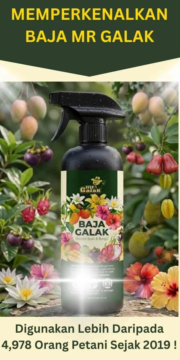 Baja MRGALAK
