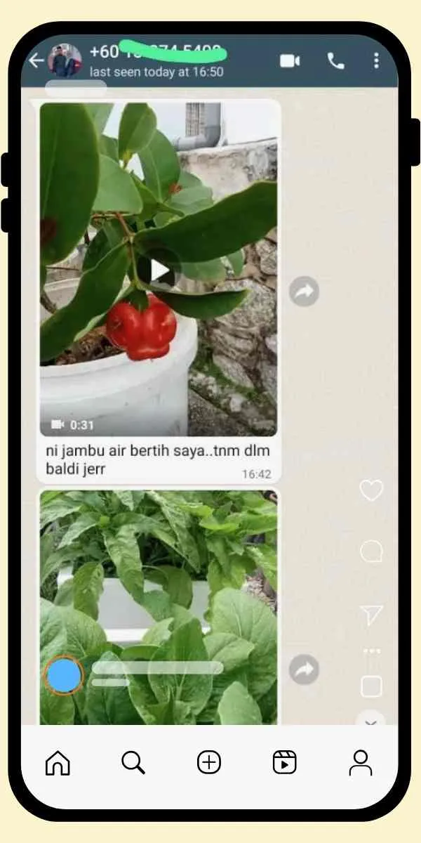 Testimoni Pengguna