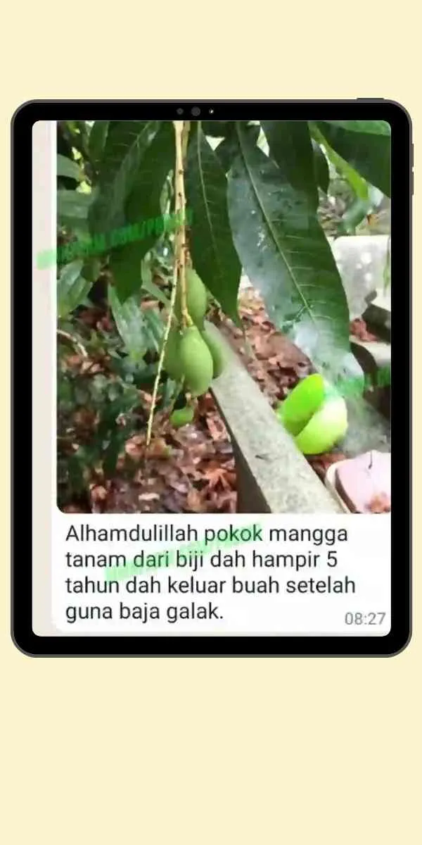 Testimoni Pengguna