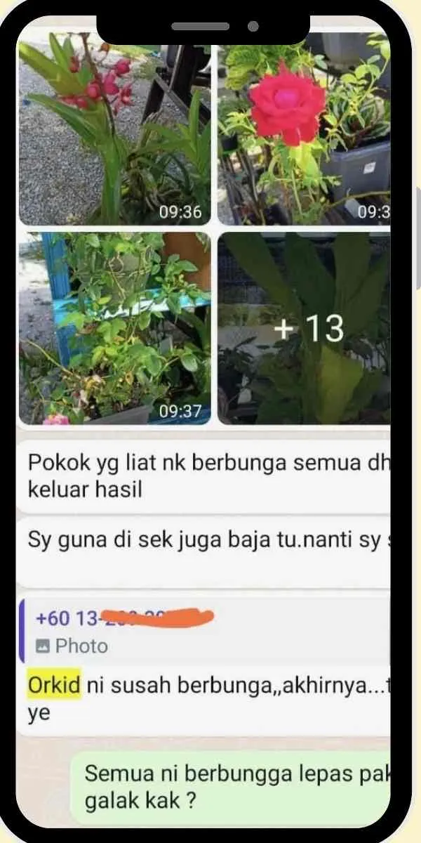 Testimoni Pengguna