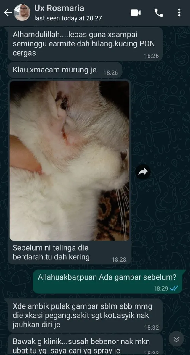Testimoni Ubax 1
