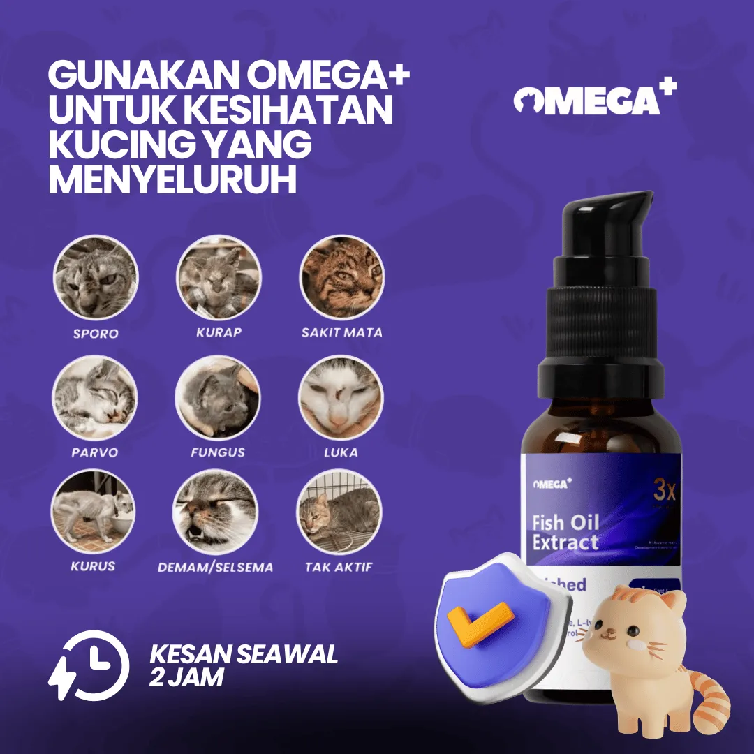 Kucing Sihat