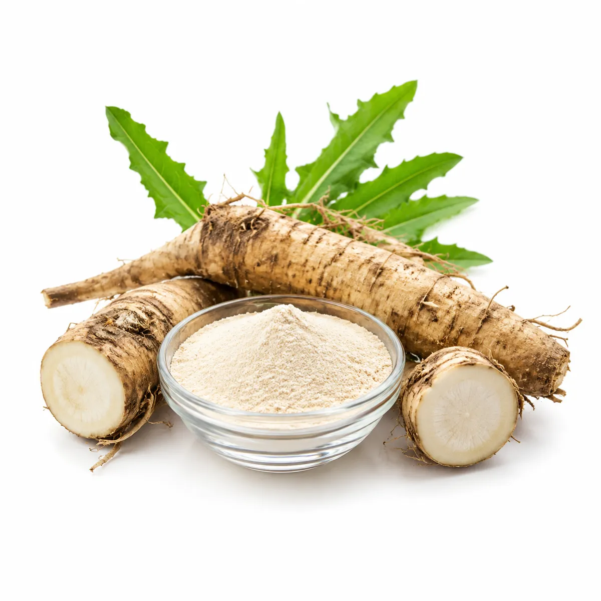 Inulin Prebiotik