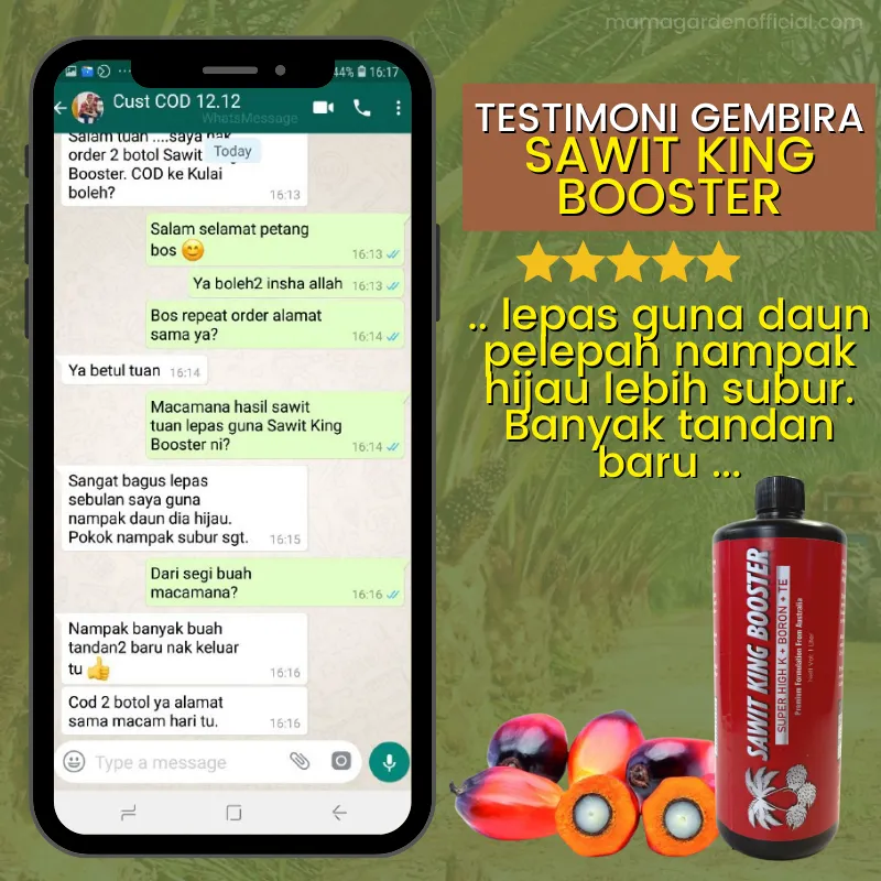 Testimoni 2