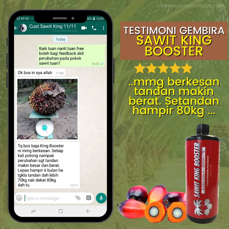 Testimoni 3
