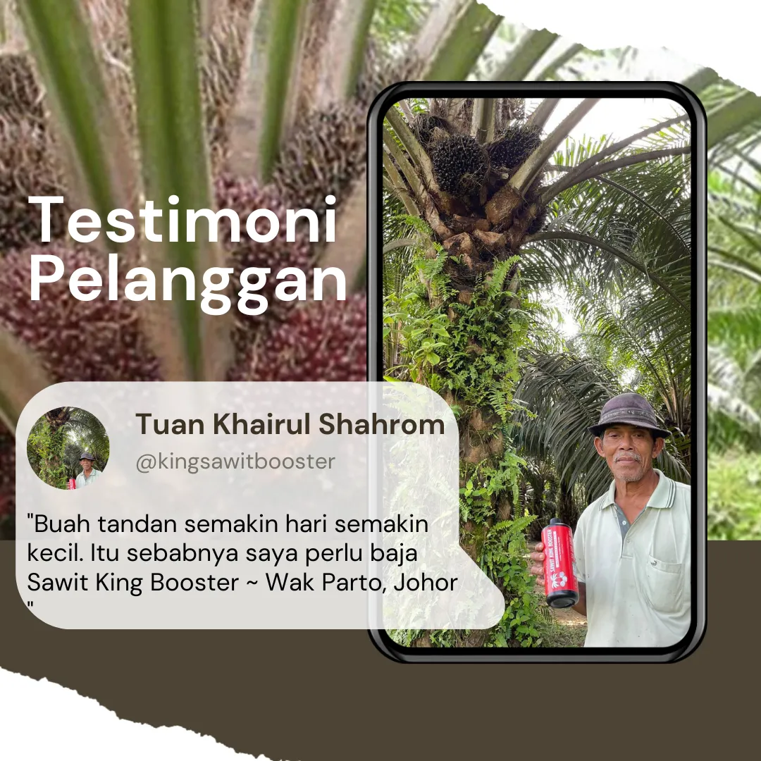Testimoni 8