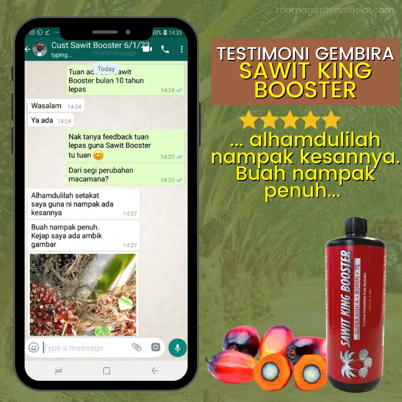 Testimoni 6