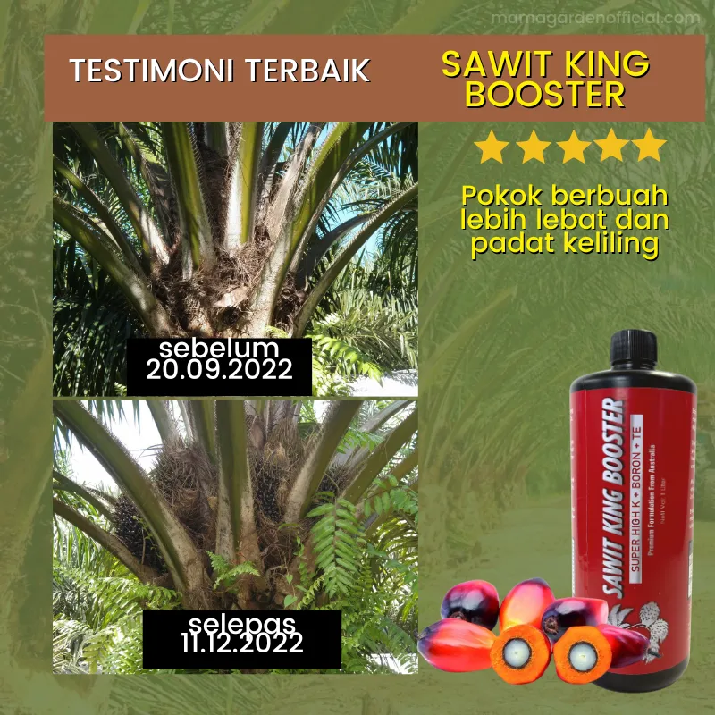 Testimoni 1