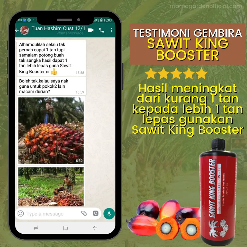 Testimoni 4