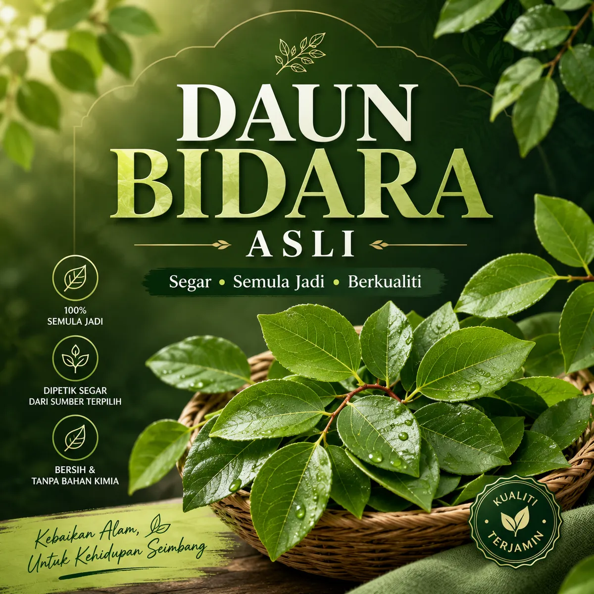 Daun Bidara